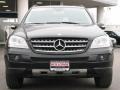 Black - ML 350 4Matic Photo No. 2