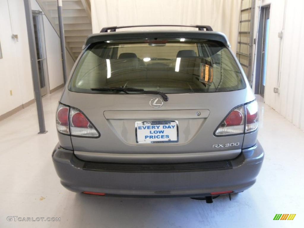 2003 RX 300 AWD - Millenium Silver Metallic / Ivory photo #3