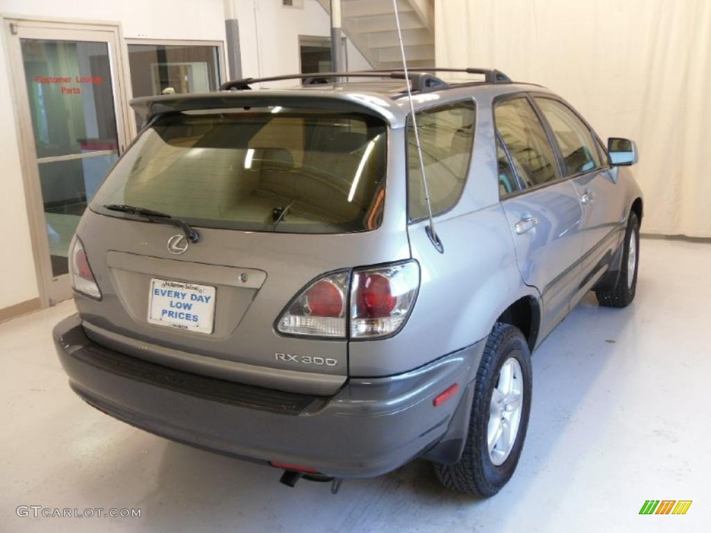 2003 RX 300 AWD - Millenium Silver Metallic / Ivory photo #4