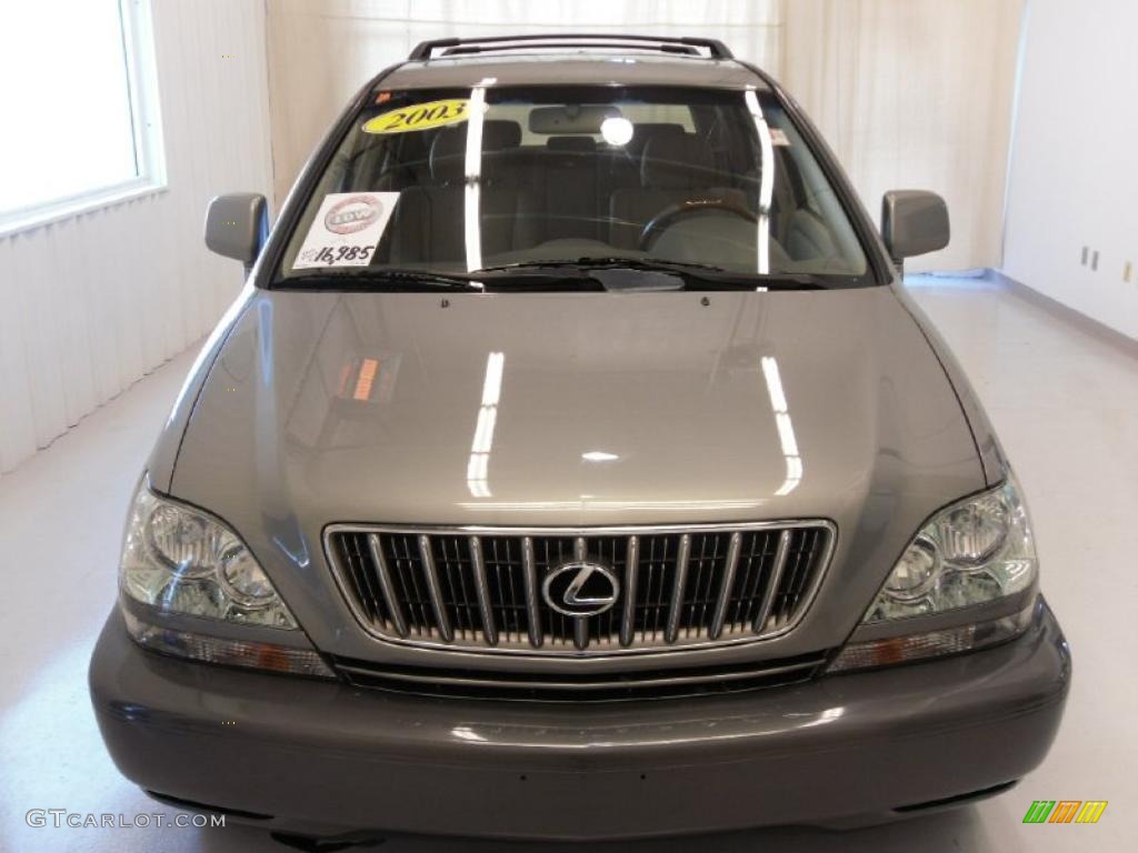 2003 RX 300 AWD - Millenium Silver Metallic / Ivory photo #6