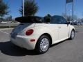 Harvest Moon Beige - New Beetle GL Convertible Photo No. 5
