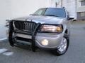 Light Parchment Gold Metallic 2002 Lincoln Navigator Luxury 4x4