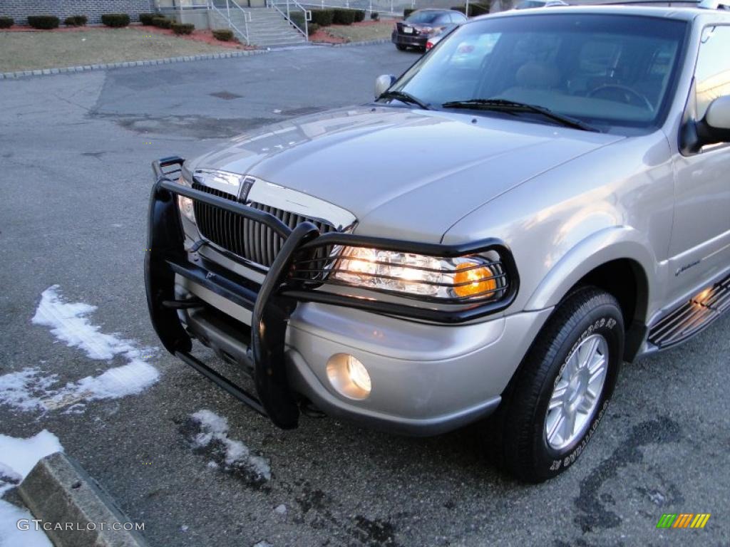 2002 Navigator Luxury 4x4 - Light Parchment Gold Metallic / Medium Parchment photo #16