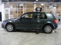 Blue Anthracite Metallic - Golf GLS 4 Door Photo No. 2
