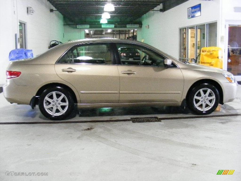 2003 Accord EX V6 Sedan - Desert Mist Metallic / Gray photo #6