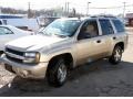 Sandstone Metallic - TrailBlazer LS 4x4 Photo No. 1