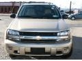 Sandstone Metallic - TrailBlazer LS 4x4 Photo No. 2