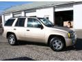 Sandstone Metallic - TrailBlazer LS 4x4 Photo No. 4