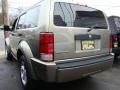 Light Khaki Metallic - Nitro SXT Photo No. 4