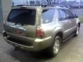 Driftwood Pearl - 4Runner SR5 Photo No. 15