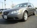 Willow Gray - Sonata GLS Photo No. 1