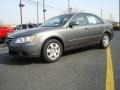 Willow Gray - Sonata GLS Photo No. 2