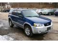 2007 Vista Blue Metallic Ford Escape XLT V6 4WD  photo #17