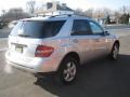 2006 Iridium Silver Metallic Mercedes-Benz ML 500 4Matic  photo #3