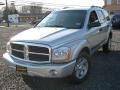 Brilliant Silver Metallic - Durango SLT 4x4 Photo No. 9