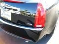 Black Raven - CTS 3.6 Sedan Photo No. 11