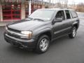 Indigo Blue Metallic - TrailBlazer LS 4x4 Photo No. 1