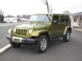 2008 Rescue Green Metallic Jeep Wrangler Unlimited Sahara 4x4  photo #1