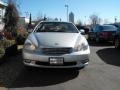 Millennium Silver Metallic - ES 300 Photo No. 3