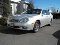 Millennium Silver Metallic - ES 300 Photo No. 4