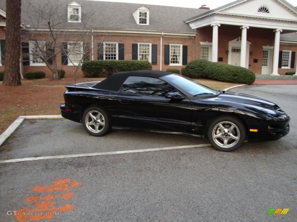 Navy Blue Metallic Pontiac Firebird