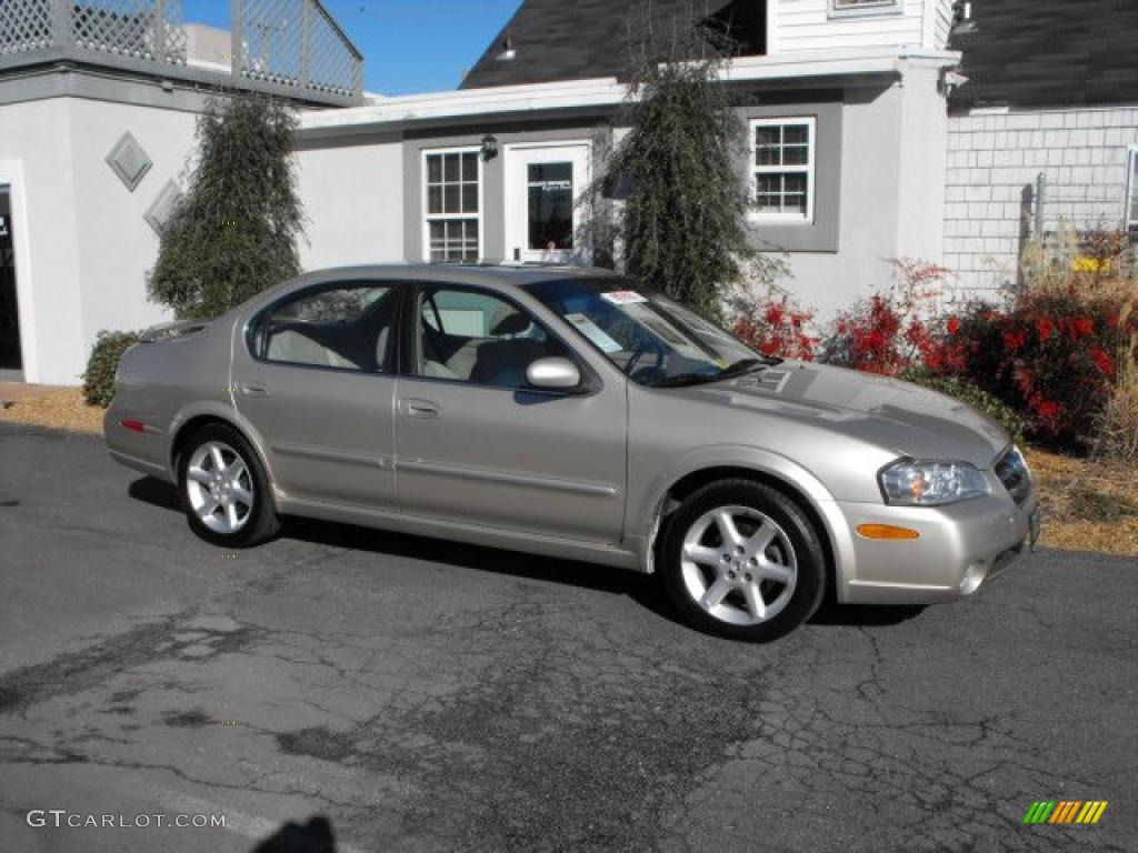 2003 Maxima SE - Sunlit Sand / Blond photo #7