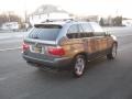 Sterling Grey Metallic - X5 4.4i Photo No. 3