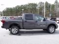 Smoke Metallic - Titan PRO-4X Crew Cab 4x4 Photo No. 6