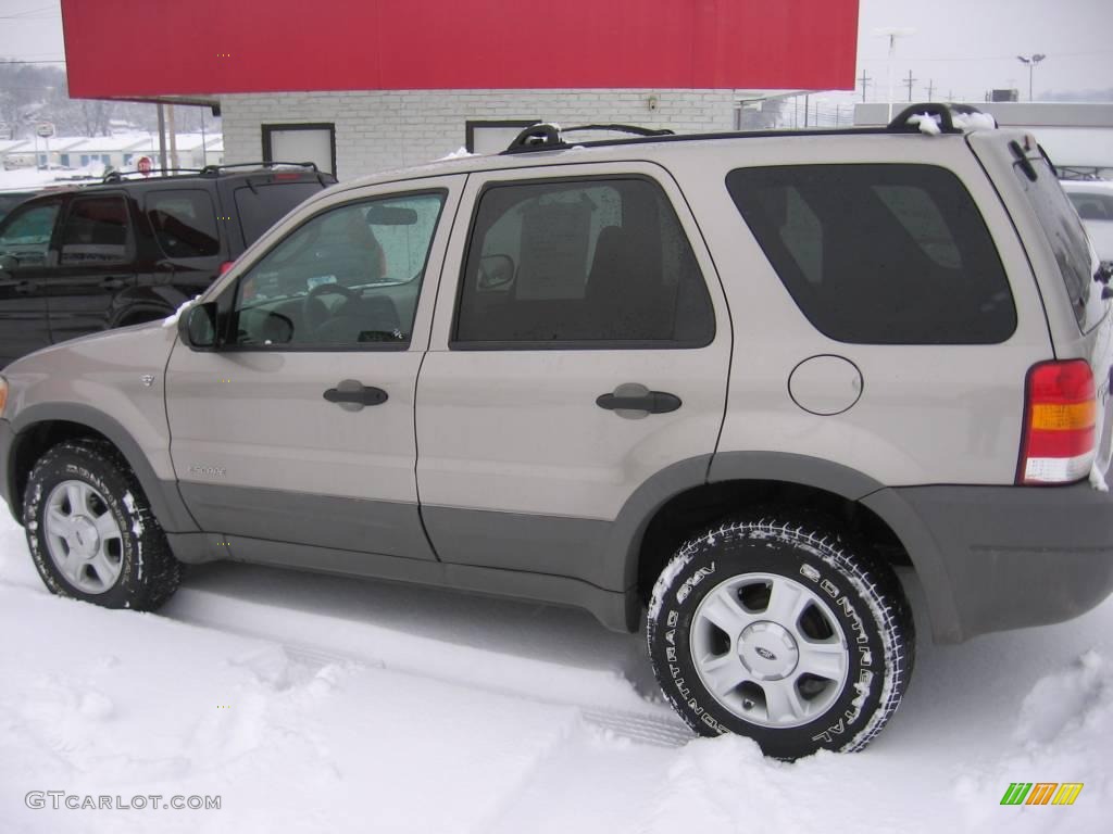 2001 Escape XLT V6 4WD - Light Parchment Gold Metallic / Medium Parchment Beige photo #1