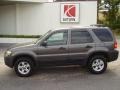 2006 Dark Shadow Grey Metallic Ford Escape XLT V6  photo #1