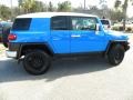 Voodoo Blue - FJ Cruiser  Photo No. 12