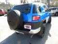 Voodoo Blue - FJ Cruiser  Photo No. 13