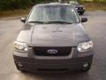 2006 Dark Shadow Grey Metallic Ford Escape XLT V6  photo #3