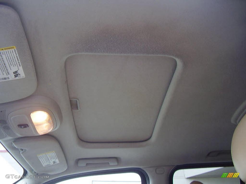 2006 Envoy SLT - Emerald Green Metallic / Light Tan/Ebony Black photo #12
