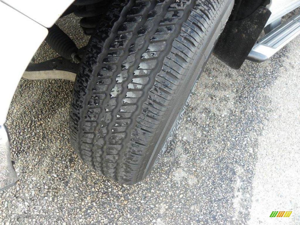 2006 F150 XLT SuperCrew - Silver Metallic / Medium/Dark Flint photo #18