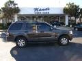 2006 Dark Stone Metallic Ford Explorer XLT  photo #38