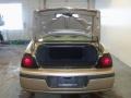 Sandstone Metallic - Impala  Photo No. 17