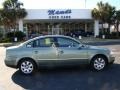Fresco Green Metallic - Passat GLX Sedan Photo No. 44