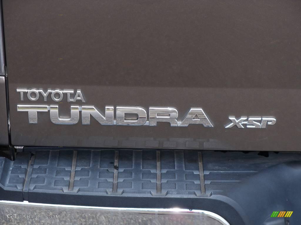 2008 Tundra SR5 X-SP Double Cab 4x4 - Pyrite Mica / Red Rock photo #9