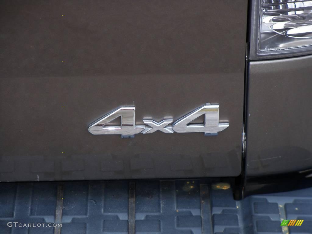 2008 Tundra SR5 X-SP Double Cab 4x4 - Pyrite Mica / Red Rock photo #10