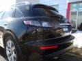 Black Obsidian - FX 35 AWD Photo No. 18