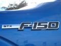 2010 Blue Flame Metallic Ford F150 STX Regular Cab  photo #4