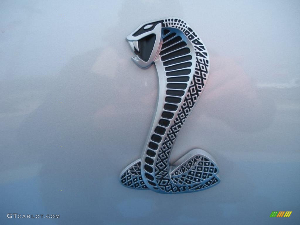 2010 Mustang Shelby GT500 Coupe - Brilliant Silver Metallic / Charcoal Black photo #6