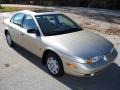 Gold - S Series SL1 Sedan Photo No. 11