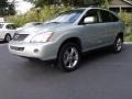 2006 Bamboo Pearl Lexus RX 400h AWD Hybrid  photo #3