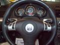 2009 Silver Moss Saturn Aura XR  photo #14