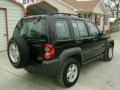 Black - Liberty Sport 4x4 Photo No. 4