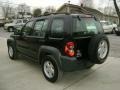 Black - Liberty Sport 4x4 Photo No. 6