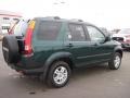 Clover Green Pearl - CR-V EX 4WD Photo No. 2