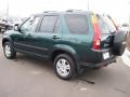 Clover Green Pearl - CR-V EX 4WD Photo No. 4